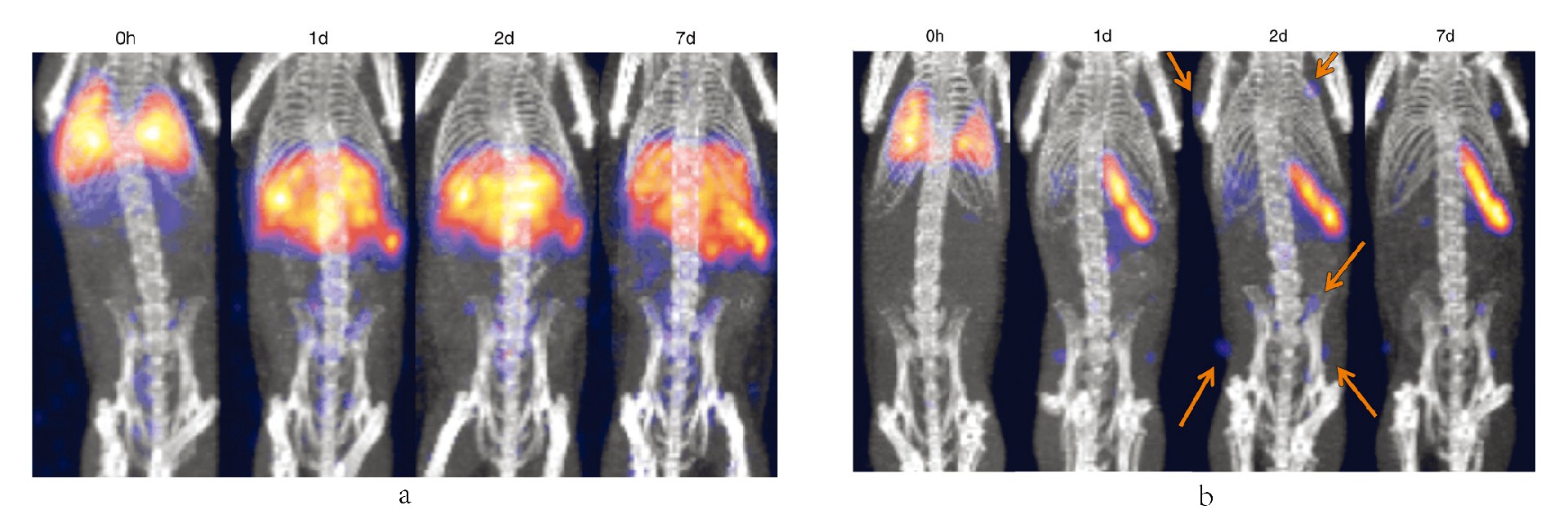 1744184745105705.jpg 5d5f8034673e5.jpg