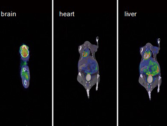 Cases study 1: Radio smolecular Drug Biodistribution and pharmacokinetic research